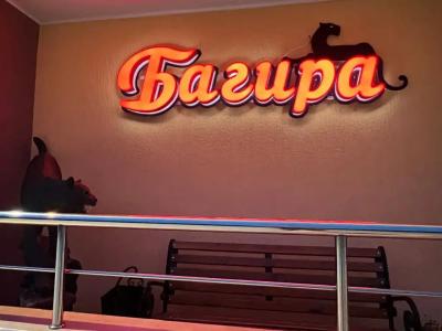 Багира - 12