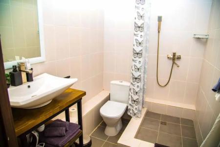 Вологодские берега - 260