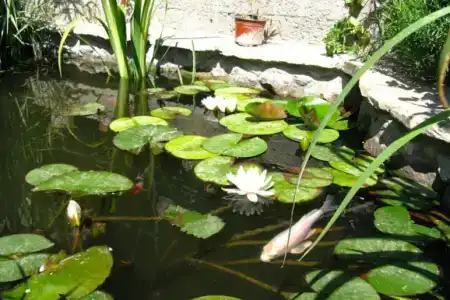 Гостевой дом у подножия Генуэзской крепости - 8