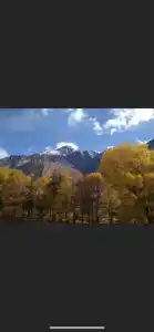 Gold kazbegi - 2