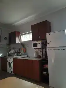 Кипарис - 1
