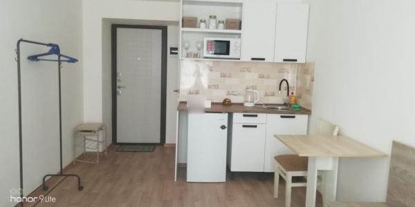 Апарт-отель В гостях у Льва - 49