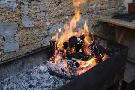 Фидель - 3
