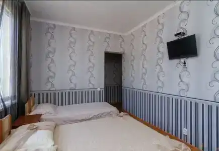 Алина - 1