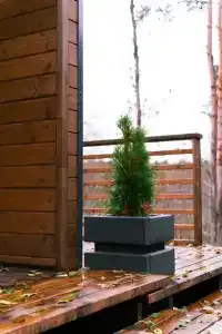 FeelWood - 39