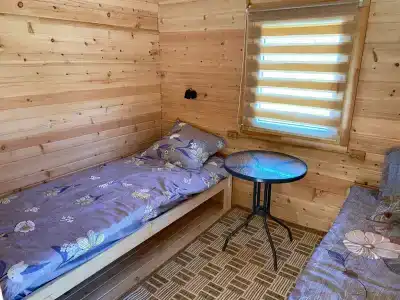 Янтарный Кедр - 3