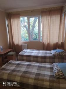 Авангард - 31