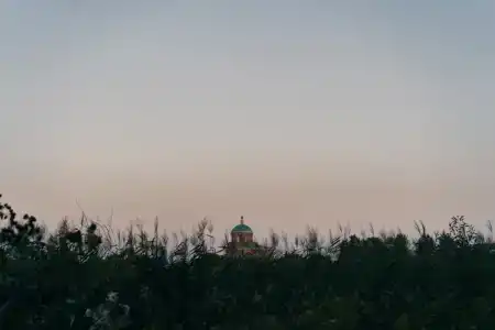 Надежда - 5