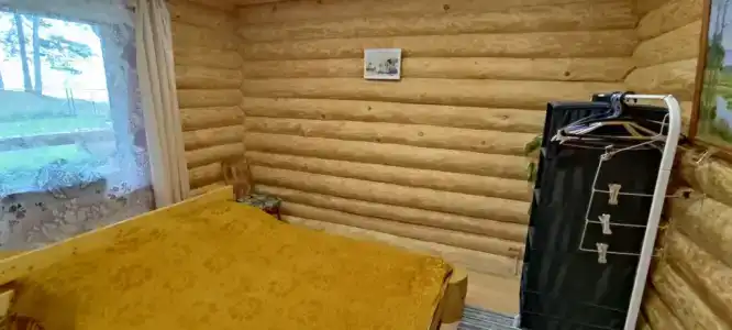 Сосновка - 13