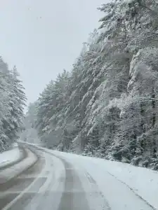 Дом в Белорусской Швейцарии - 25