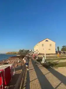 Пальмира - 2