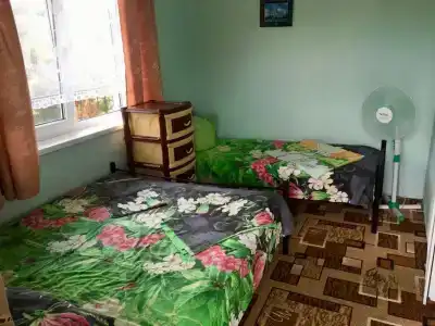 Резеда - 1
