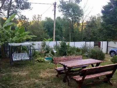 Резеда - 3