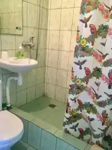 Резеда - 4