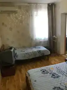Фламинго - 22