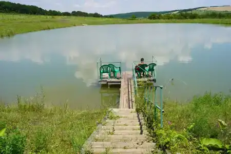 Зеленые Холмы - 17