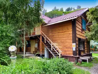 Сокол - 23