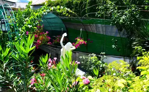Green Palace - 3