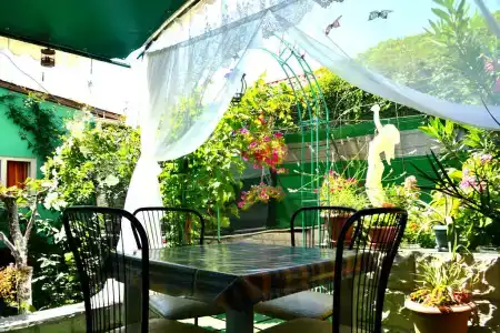 Green Palace - 8