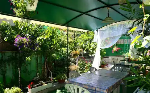 Green Palace - 9
