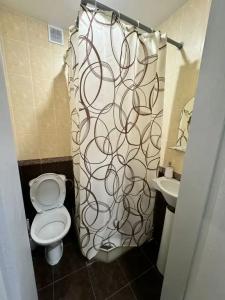 Каштан - 44