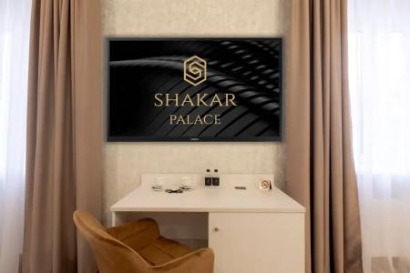 Shakar Palace - 49