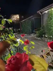 Загородный дом на Калинина, 321 - 12