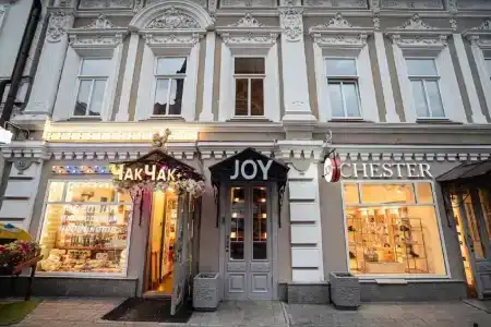 Joy - 1