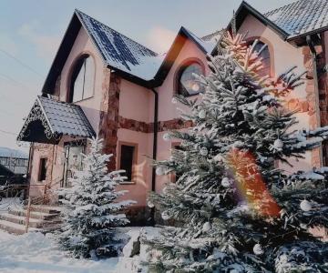 Белая Пуля - 1