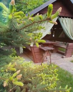 Белая Пуля - 5