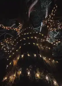 Веззика Кириково - 5