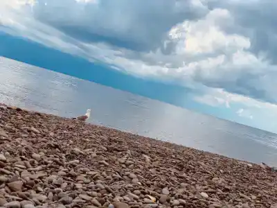 Три Богатыря - 10