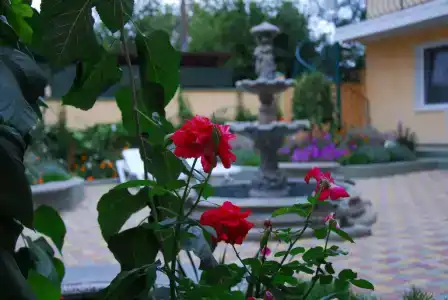 Пансион Кафа - 12