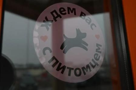Гость - 6