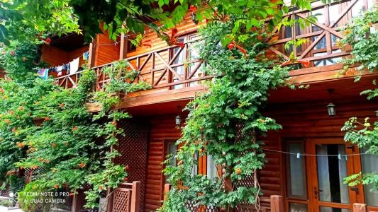 Теремок - 16