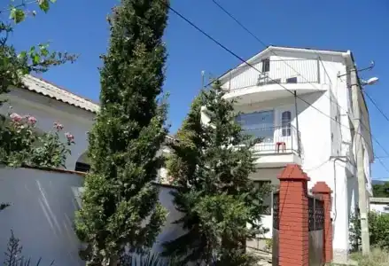 Роза Пикуба - 1