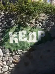 Южный Кедр - 14