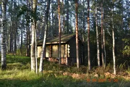 Берлога - 42
