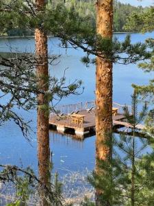 Берлога - 66