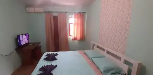 Дельфин - 19