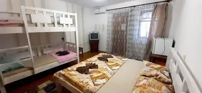 Дельфин - 1