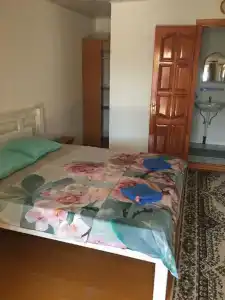 Дельфин - 3