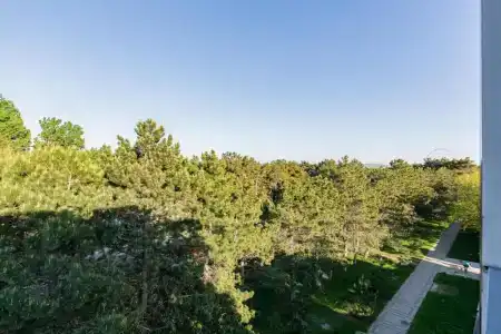 Водолей - 2