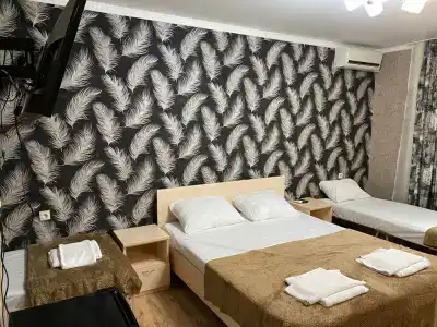 Кипарис - 2