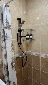 Кипарис - 3