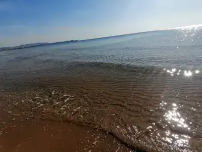 Проспект - 4