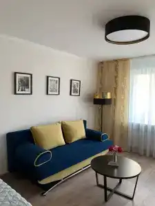 Приглашаю Вас в мою светлую, уютную однокомнатную квартиру ! - 5