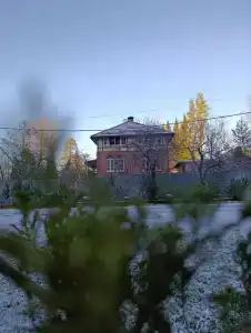 Осельки - 46