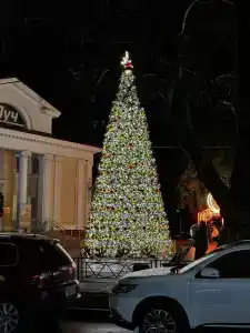 Квартиры на Кипарисовой 9/1 - 27