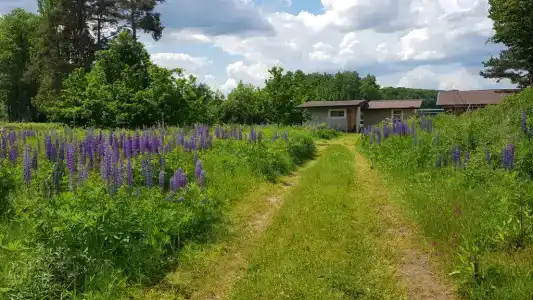 Домик на причале в Камено - 3